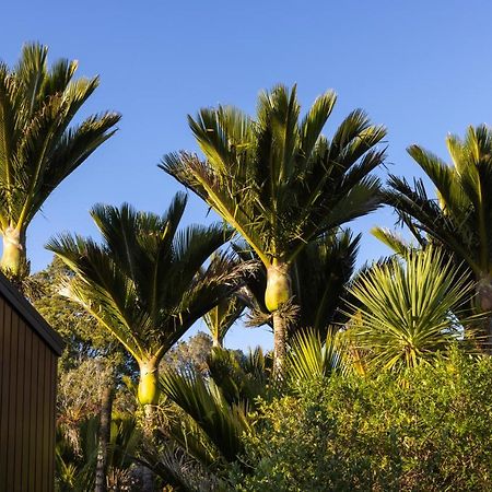 Punakaiki Forest Retreat Villa Exterior foto